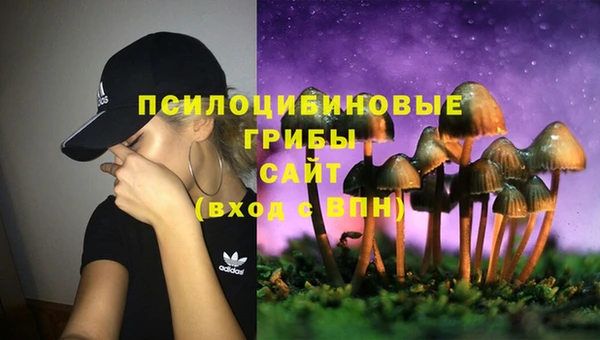 бутират Баксан