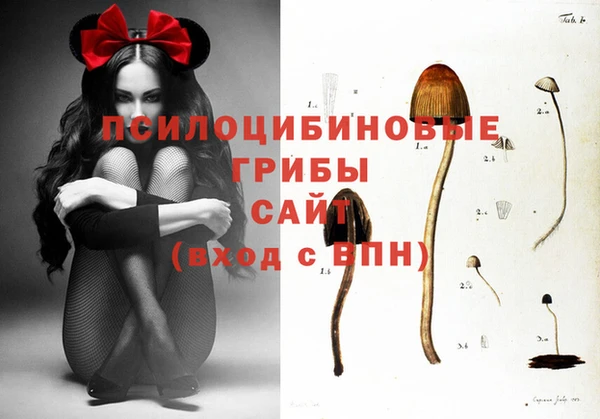 бутират Баксан